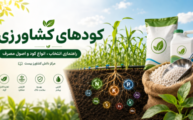 راهنمای انواع کودهای کشاورزی شامل کود NPK، آلی، ریزمغذی و تغذیه گیاه