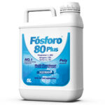 Fosforo 150x150 - لیست قیمت