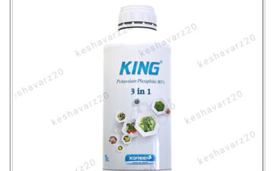 بطری یک لیتری کود فسفیت پتاسیم کینگ ایکس گرین