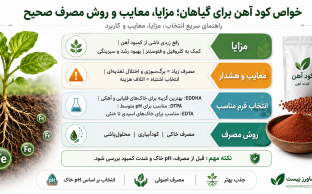 خواص کود آهن برای گیاهان و مقایسه مزایا و معایب آن