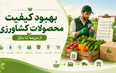 بهبود کیفیت محصولات کشاورزی از انتخاب بذر و مدیریت مزرعه تا برداشت و بازار