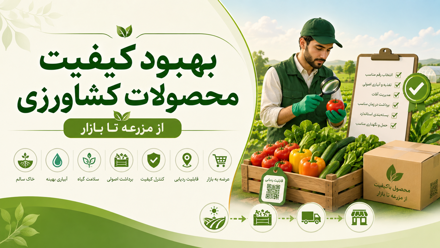 بهبود کیفیت محصولات کشاورزی از انتخاب بذر و مدیریت مزرعه تا برداشت و بازار