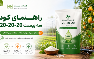 کود سه بیست 20-20-20 برای باغ، مزرعه و گلخانه