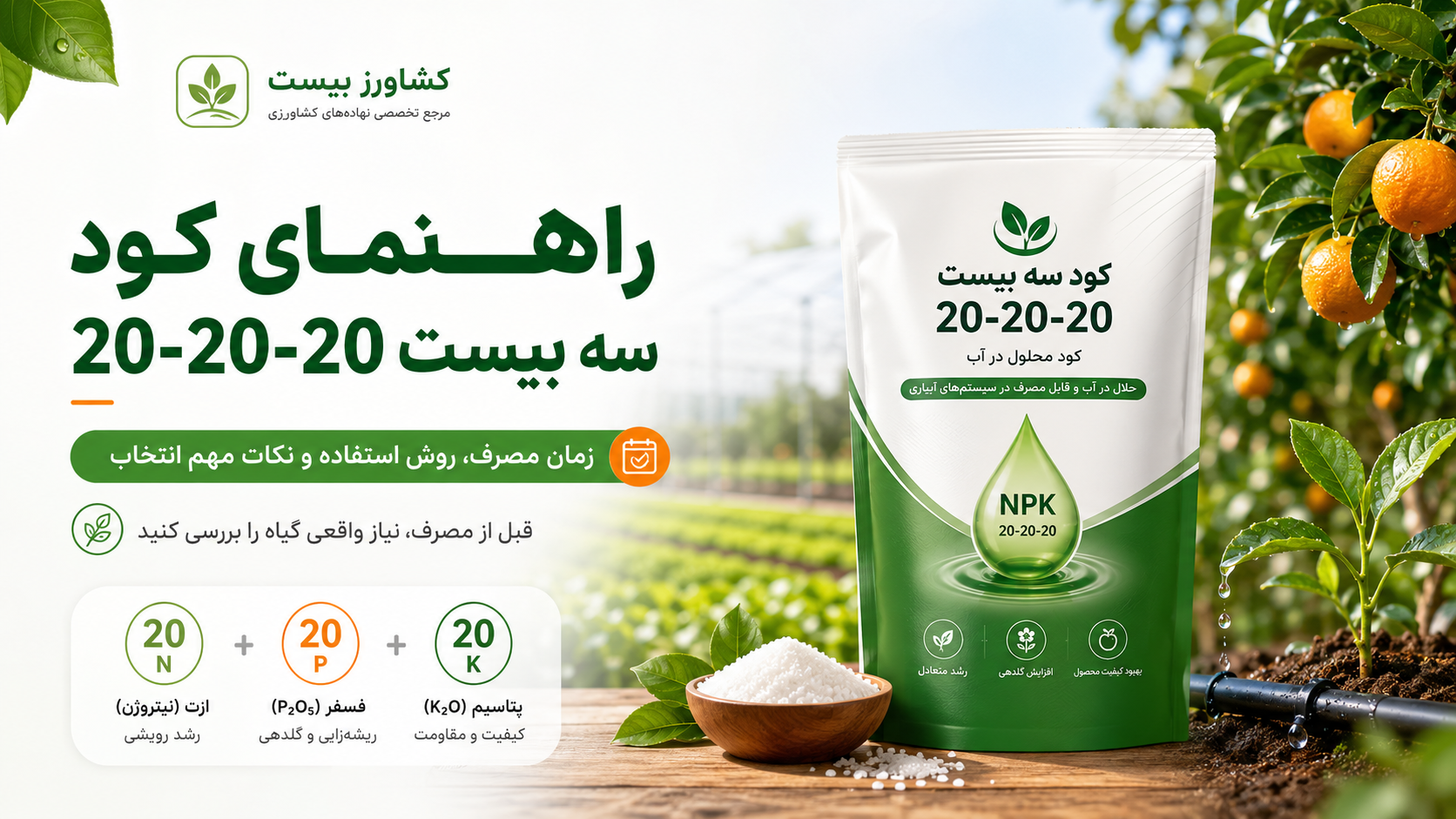 کود سه بیست 20-20-20 برای باغ، مزرعه و گلخانه