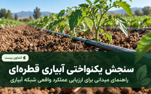 سنجش یکنواختی آبیاری قطره‌ای و ارزیابی عملکرد واقعی شبکه آبیاری