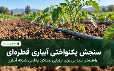 سنجش یکنواختی آبیاری قطره‌ای و ارزیابی عملکرد واقعی شبکه آبیاری
