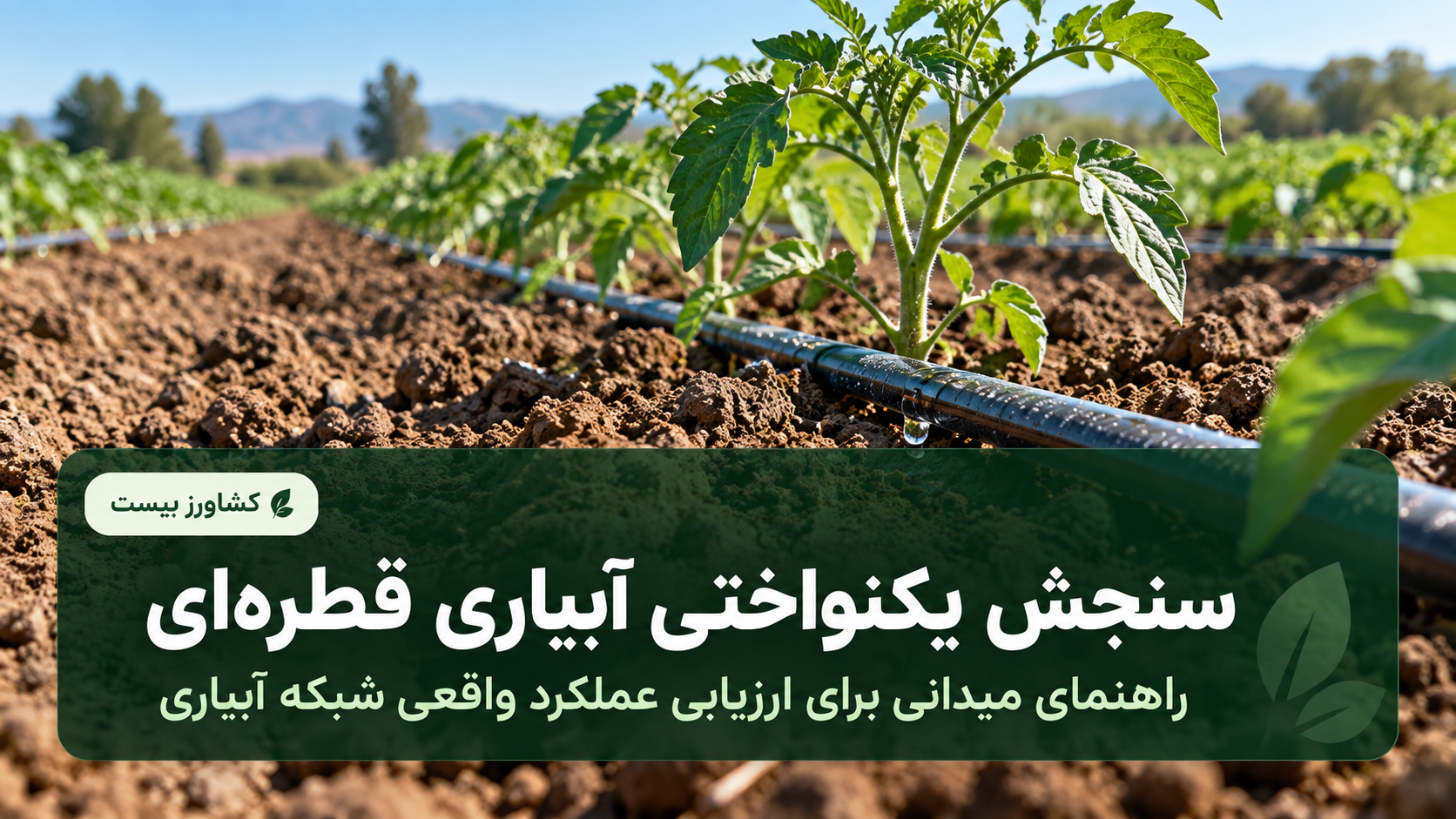 سنجش یکنواختی آبیاری قطره‌ای و ارزیابی عملکرد واقعی شبکه آبیاری