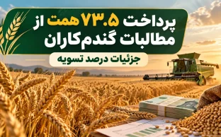 پرداخت مطالبات گندم‌کاران؛ جزئیات درصد تسویه