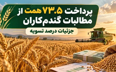 پرداخت مطالبات گندم‌کاران؛ جزئیات درصد تسویه