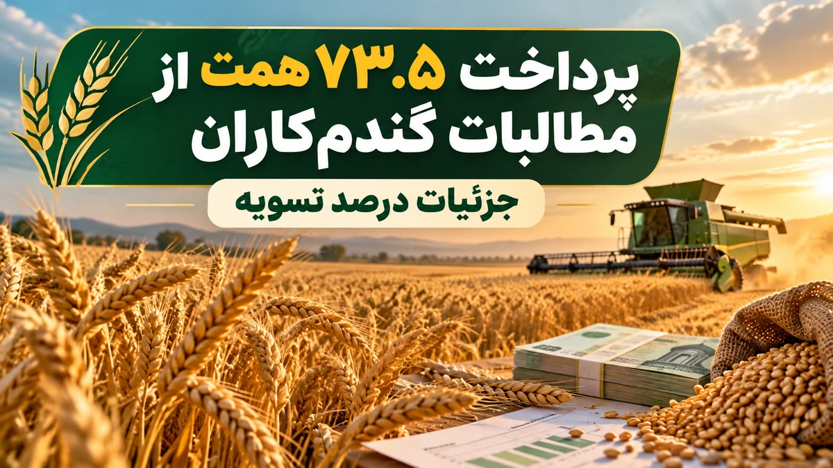 پرداخت مطالبات گندم‌کاران؛ جزئیات درصد تسویه