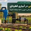 آب چاه شنی در آبیاری قطره‌ای؛ شن‌گیر، فیلتر دیسکی یا توری