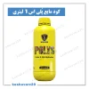 تصویر محصول محلول پلی‌اس ایکس گرین ۱ لیتری؛ گوگرد چندظرفیتی برای باغ و فضای سبز (Polys XGreen)