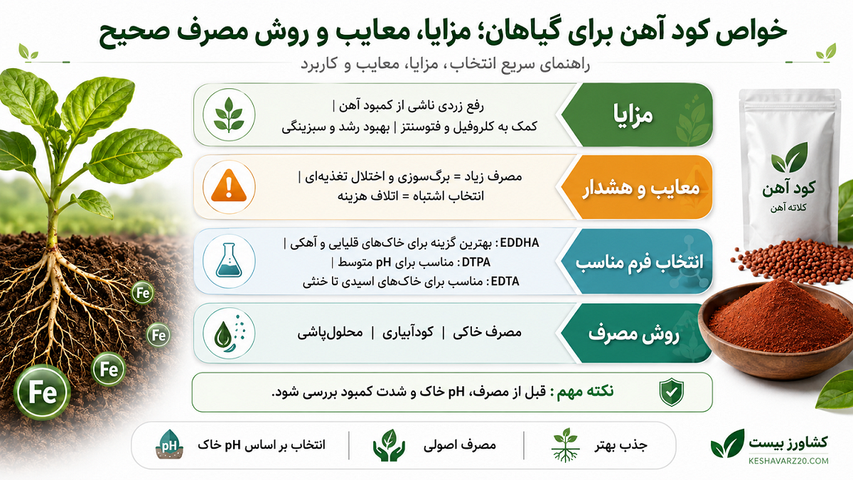 خواص کود آهن برای گیاهان و مقایسه مزایا و معایب آن