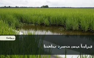پمپ و تجهیزات پمپاژ آب در یک سامانه آبیاری کشاورزی برای انتخاب بر اساس دبی و هد