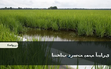 پمپ و تجهیزات پمپاژ آب در یک سامانه آبیاری کشاورزی برای انتخاب بر اساس دبی و هد