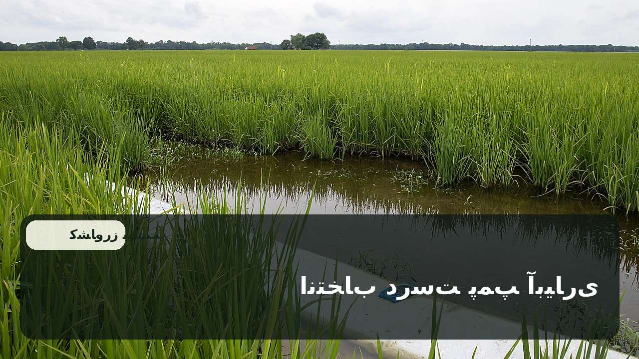 پمپ و تجهیزات پمپاژ آب در یک سامانه آبیاری کشاورزی برای انتخاب بر اساس دبی و هد