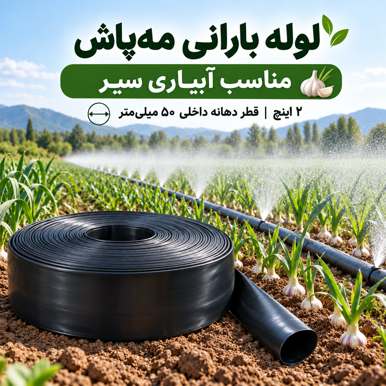 لوله بارانی مه‌پاش ۲ اینچ آسایش آذربایجان برای آبیاری سیر