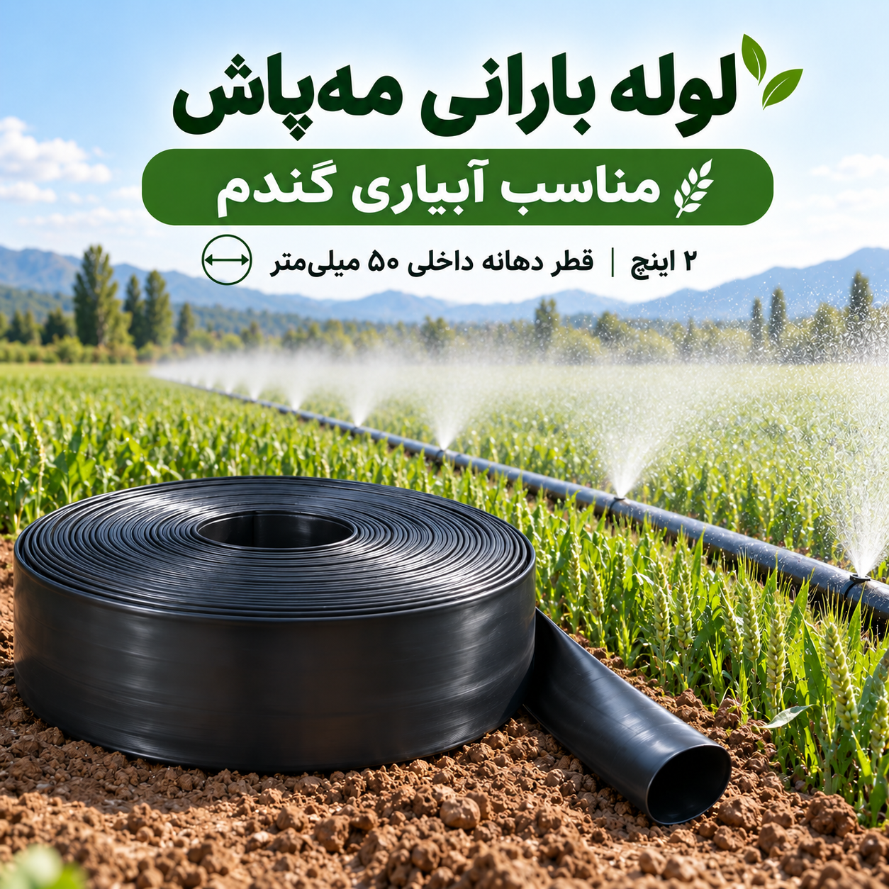 لوله بارانی مه‌پاش ۲ اینچ آسایش آذربایجان برای آبیاری گندم