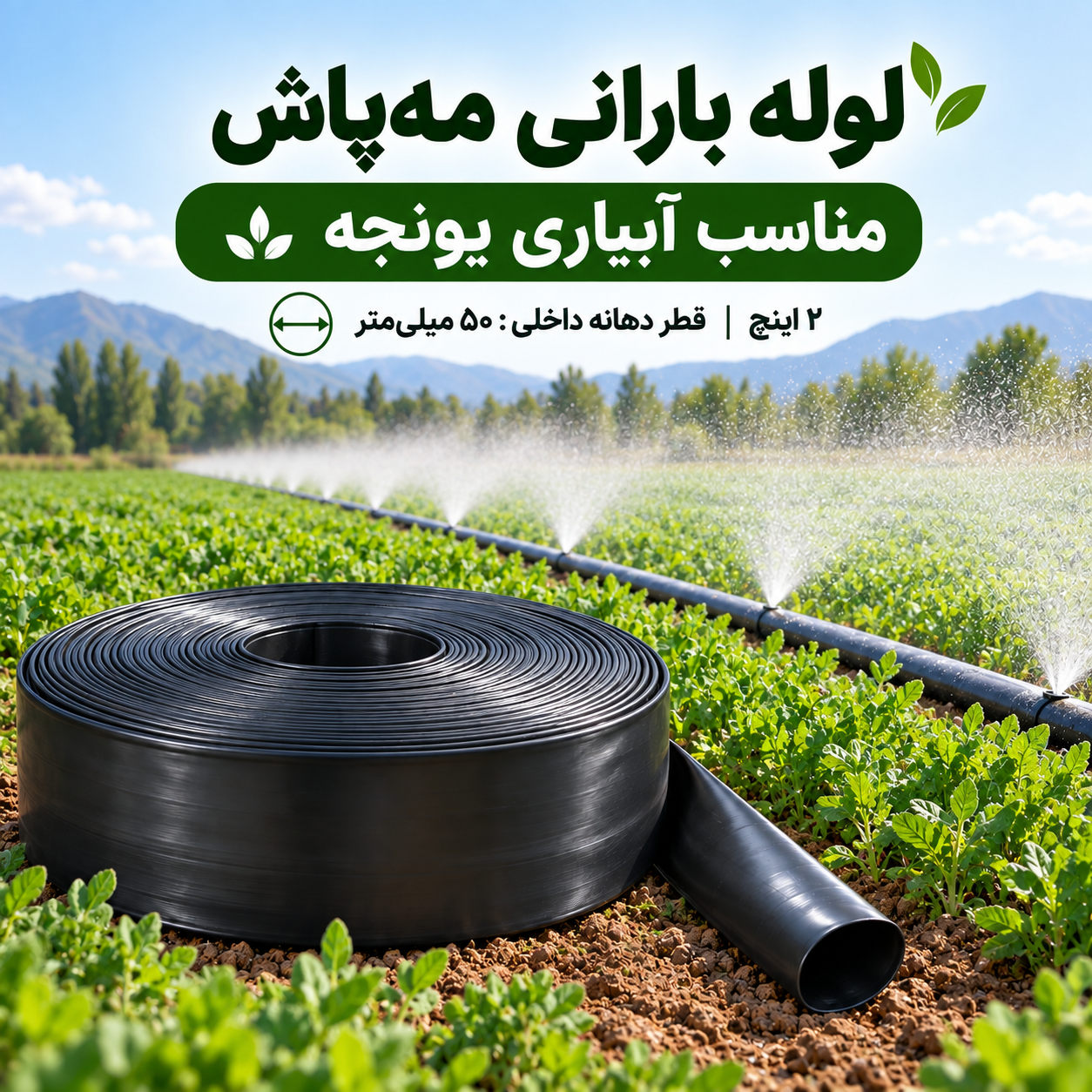 لوله بارانی مه‌پاش ۲ اینچ آسایش آذربایجان برای آبیاری یونجه