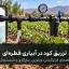 راهنمای فرتیگیشن، ونتوری و تزریق کود در آبیاری قطره‌ای