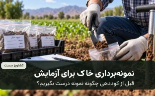 روش صحیح نمونه‌برداری خاک قبل از کوددهی و آزمایش خاک
