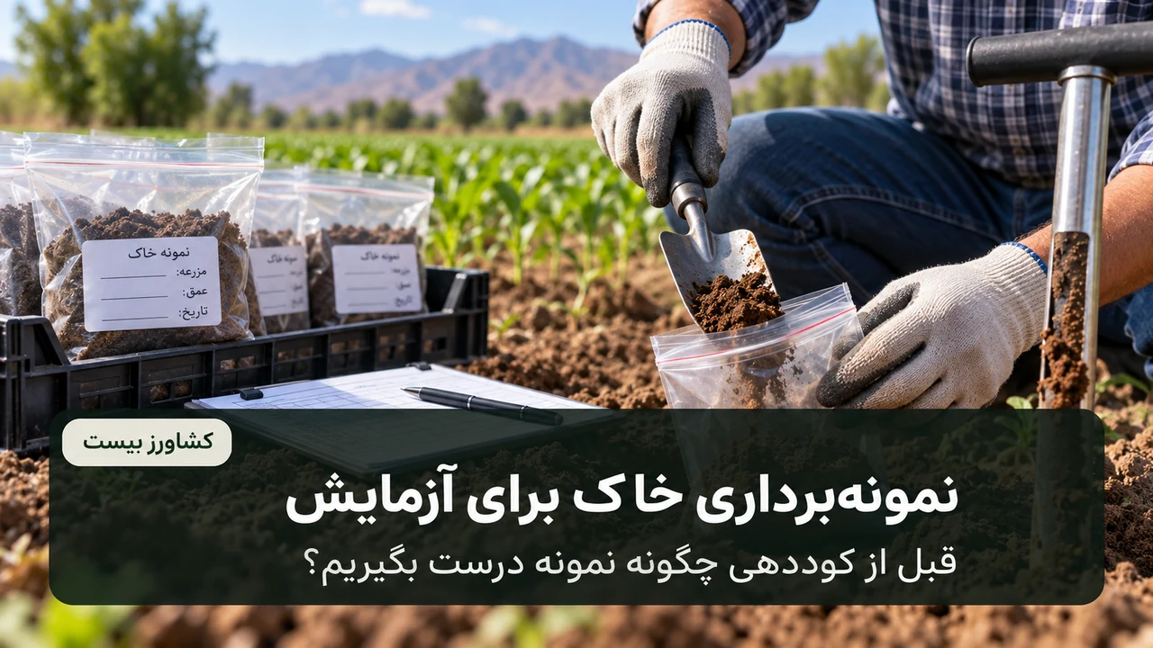 روش صحیح نمونه‌برداری خاک قبل از کوددهی و آزمایش خاک