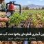 عیب‌یابی فشار و توزیع آب در زون آبیاری قطره‌ای