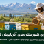 سرشماری زنبورستان‌ها از ۲ آبان آغاز می‌شود؛ ثبت برخط و خوداظهاری در آذربایجان شرقی