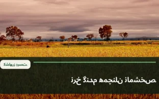 نمای آرشیوی مزرعه گندم طلایی؛ تصویر زمینه عمومی خبر بررسی نرخ خرید تضمینی گندم