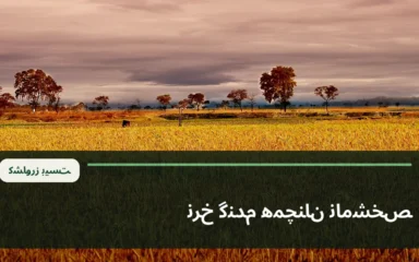 نمای آرشیوی مزرعه گندم طلایی؛ تصویر زمینه عمومی خبر بررسی نرخ خرید تضمینی گندم