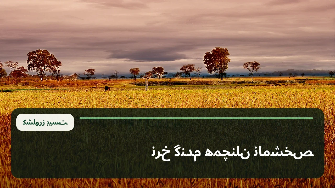 نمای آرشیوی مزرعه گندم طلایی؛ تصویر زمینه عمومی خبر بررسی نرخ خرید تضمینی گندم