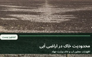 نمای آرشیوی زمین کشاورزی و سطح خاک؛ تصویر عمومی برای خبر محدودیت خاک اراضی آبی ایران