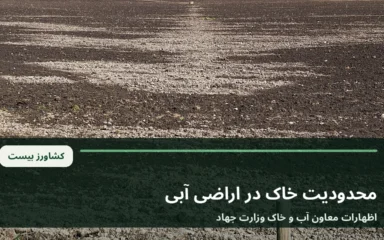 نمای آرشیوی زمین کشاورزی و سطح خاک؛ تصویر عمومی برای خبر محدودیت خاک اراضی آبی ایران
