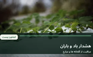 نمای آرشیوی گلخانه های کشاورزی در هوای ابری؛ تصویر نمادین هشدار بارش و باد