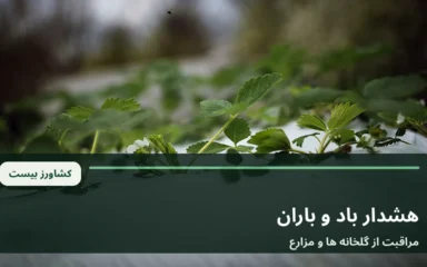 نمای آرشیوی گلخانه های کشاورزی در هوای ابری؛ تصویر نمادین هشدار بارش و باد